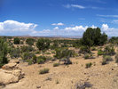 photo thumbnail #10