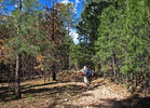 photo thumbnail #5