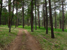 photo thumbnail #3