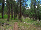 photo thumbnail #7