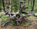 photo thumbnail #9