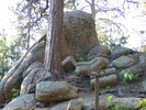 photo thumbnail #3