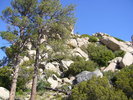 photo thumbnail #10