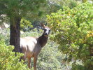 photo thumbnail #11
