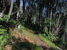 photo thumbnail #4