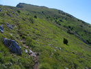photo thumbnail #8