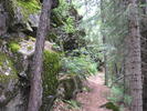 photo thumbnail #6