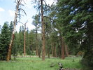 photo thumbnail #2