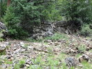 photo thumbnail #3