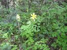 photo thumbnail #14