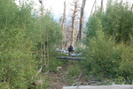 photo thumbnail #15