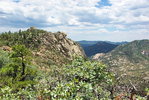 photo thumbnail #11