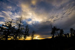 photo thumbnail #12