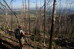 photo thumbnail #14