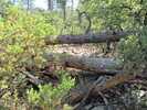 photo thumbnail #1