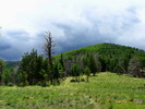 photo thumbnail #2
