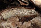 photo thumbnail #13