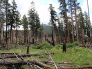 photo thumbnail #8