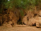 photo thumbnail #12