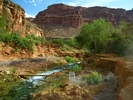 photo thumbnail #15