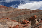 photo thumbnail #12