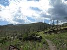 photo thumbnail #5