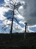 photo thumbnail #6