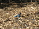 photo thumbnail #2