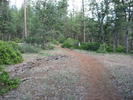 photo thumbnail #3