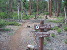 photo thumbnail #4