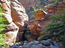 photo thumbnail #6
