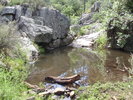 photo thumbnail #2