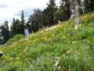 photo thumbnail #12