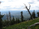 photo thumbnail #13
