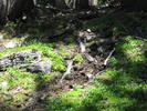 photo thumbnail #4