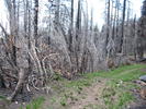 photo thumbnail #8