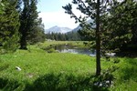 photo thumbnail #8
