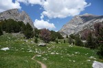 photo thumbnail #13