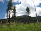 photo thumbnail #10