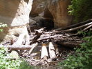 photo thumbnail #14