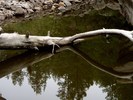 photo thumbnail #15