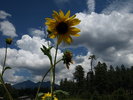 photo thumbnail #9