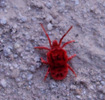 photo thumbnail #7
