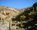 photo thumbnail #13