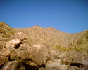 photo thumbnail #14