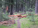 photo thumbnail #2