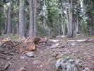 photo thumbnail #6