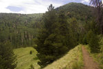 photo thumbnail #3
