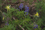 photo thumbnail #7