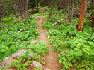 photo thumbnail #3